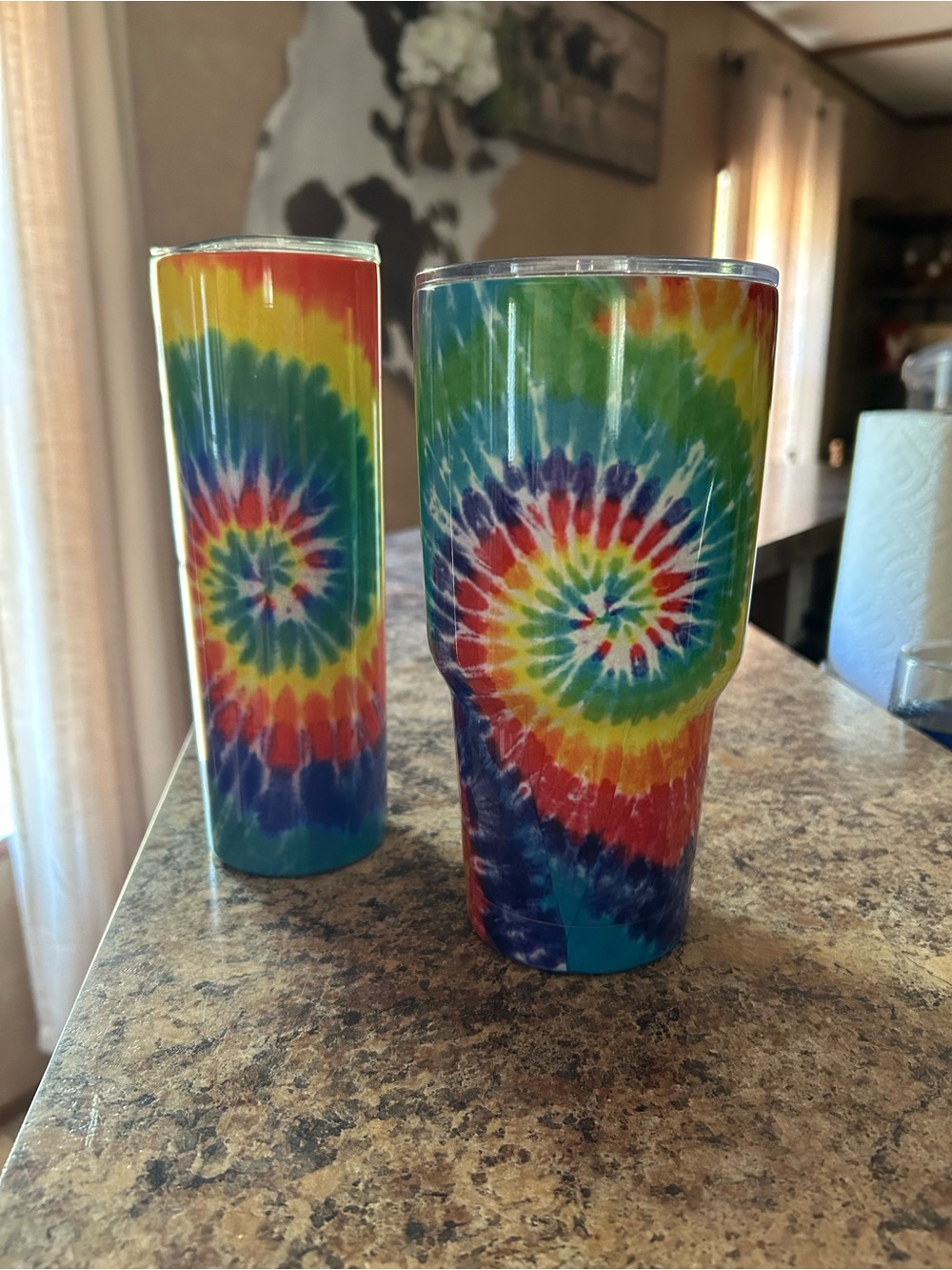Source Unknown Tie-Dye Spiral Tumbler - Rainbow